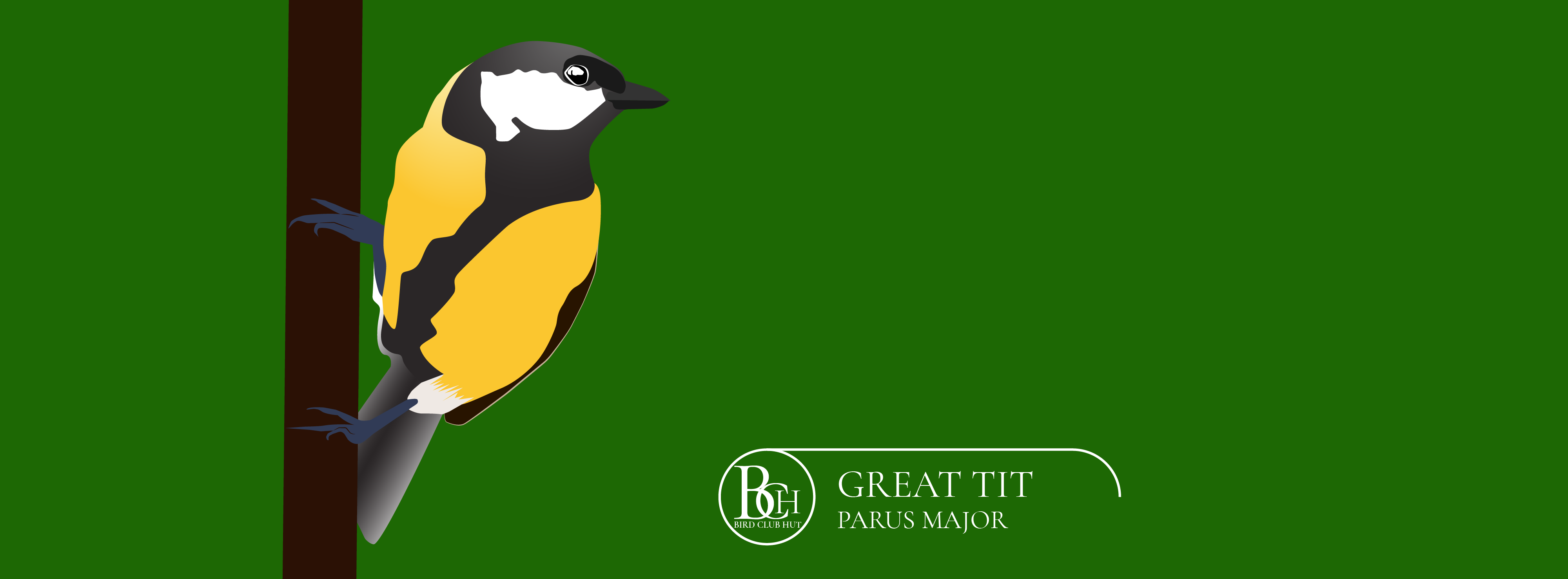 Great Tit - Bird Club Hut